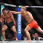 bet on fights